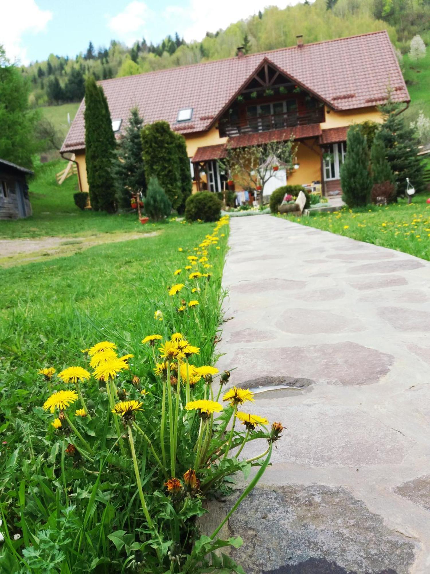 Casa Lucia Hotel Damuc ภายนอก รูปภาพ